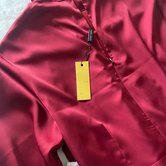 Alexa Admor Crandberry high neck silk dress!  New with tags! - Picture 4 of 6